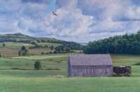 In All Its Summer Splendor