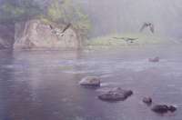 Early Fall Morning on the River