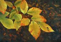 As The Leaves Turn