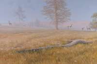 His Territory