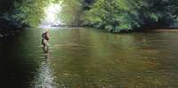 Slow Drift