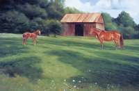 In The Country Side