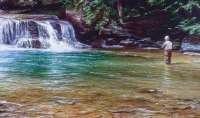 Deep In The Turquois Pool
